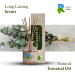 Eucalyptus Bliss: Pure Natural Incense Sticks - Calming & Refreshing