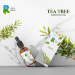 Relaxing Tree Scented Essential Oil for Aromatherapy & Massage
